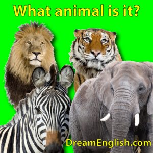 animal games for kids – Dream English Teaching Tips Blog